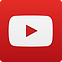 YouTube Social  Icon