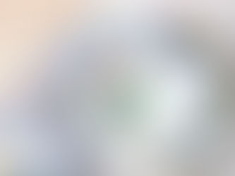 The Jewish Education to ensure the Legacy of the Torah through Tzedakah Mitzvah